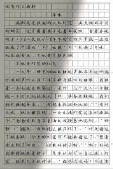 大年初二上街作文400字五年作文网精选