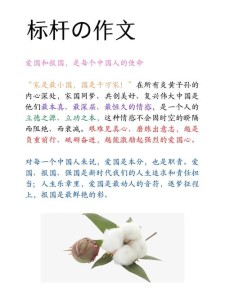 新疆高考作作文素材2018年题目公布