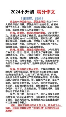 爱的小升初作文故事作文700字