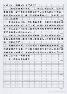 初一新学期作作文