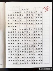 元旦作大学作800字高中记叙文2022
