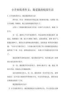 我的小升初作文学校二年级作文范文500字3篇