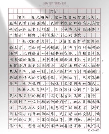 纸四年高考作文状物作文