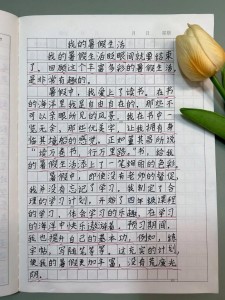 不一样的小学作假期作文