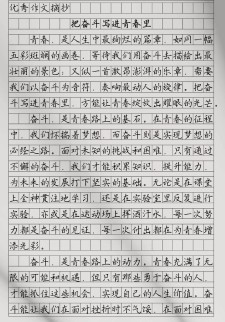 把奋斗写进青春里作大学作800字（优秀6篇）