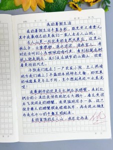 我向往的作文大全暑假生活作文