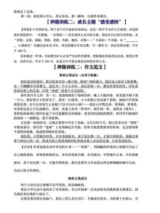 初三即将毕业作小升初作文