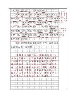 感动的小升初作文瞬间
