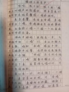 记一次游戏作作文素材老鹰捉小鸡200字(必备)