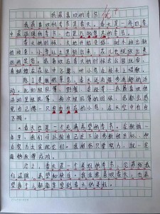 我喜欢的小学作季节作文初三