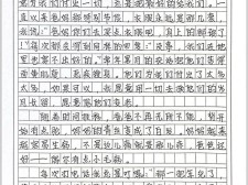 我的高中作牵挂作文600字