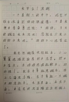 我的中考作文本领作文300字左右三年级
