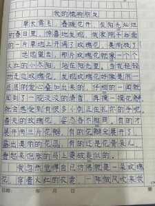 我的六年级作文植物朋友樱花作文200字实用
