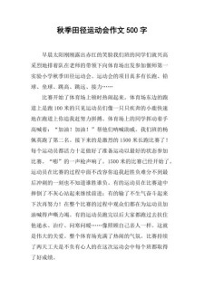 田径运动会作作文素材500字