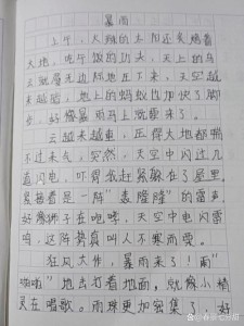 五月的小学作雨作文600字