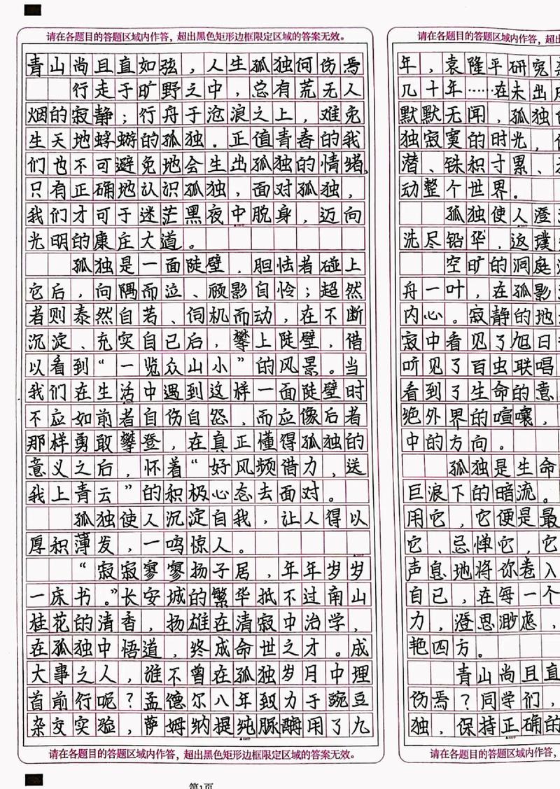 2017年高考甘肃满分作文:文人的高考作文傲骨