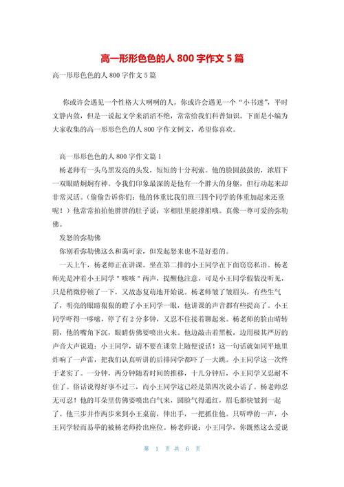 写人的高中作作文800字优秀范文(合集5篇)