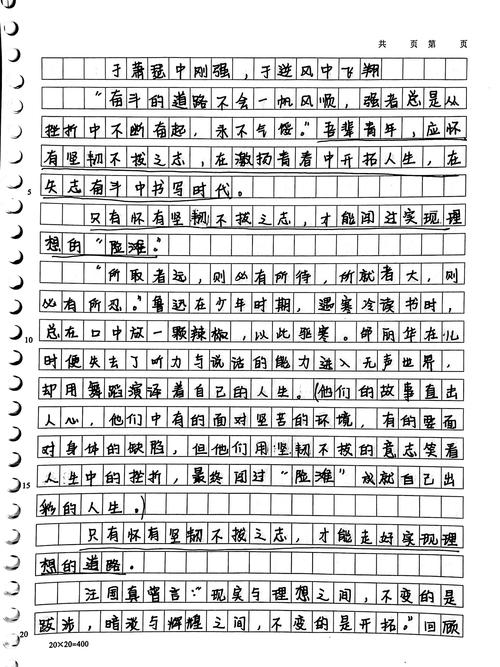 初三作小升初作文与挫折相伴作文(合集5篇)