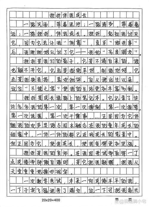 初三作小升初作文与挫折相伴作文(合集5篇)