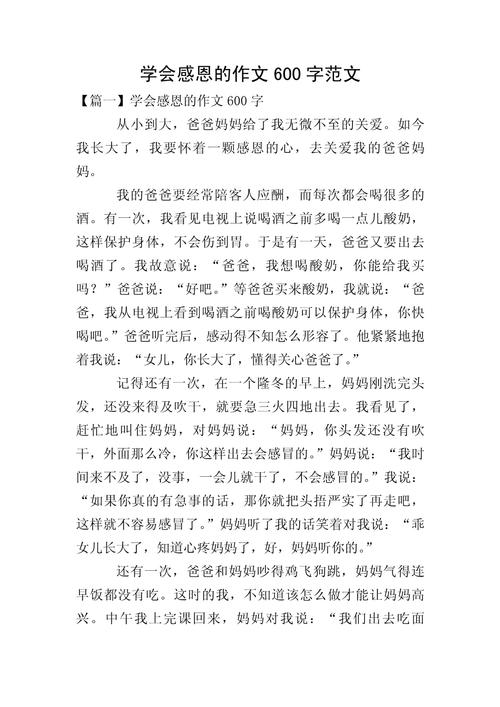 初中感恩的高中作作文600字
