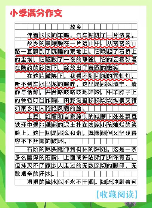 2017年湖南高考满分作文:小学作老家