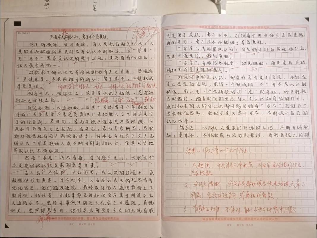 2023我的高中作发现小学生作文精选13篇