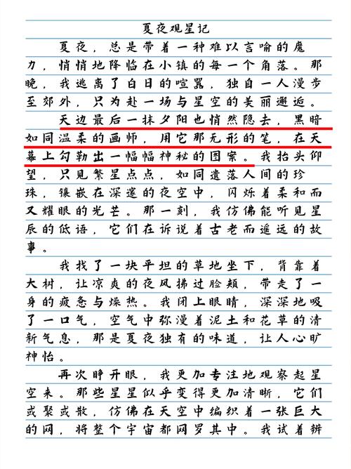 一个美丽的作文大全夏夜作文700字