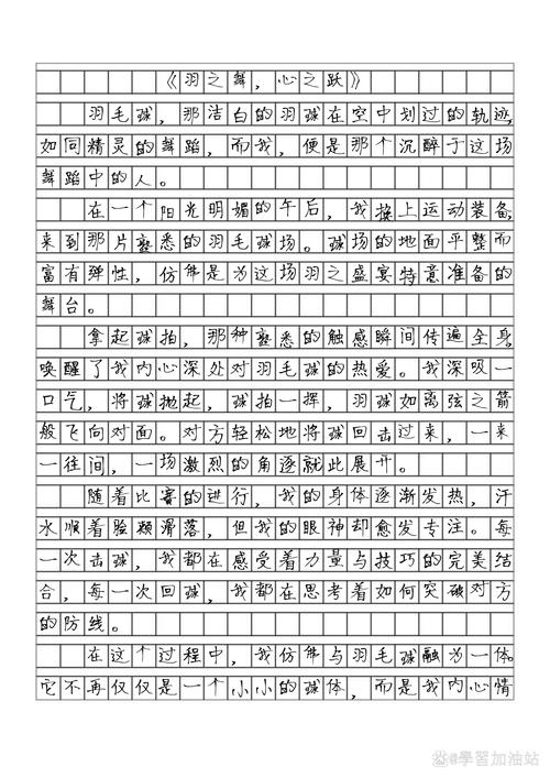 三年级打羽毛球的高考作文作文300字(精选6篇)