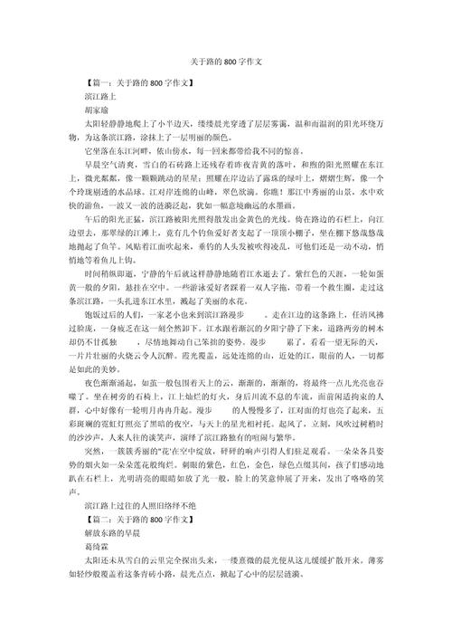 关于人生道路的初中作作文800字高中