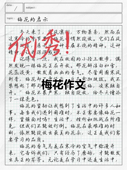 写梅花的大学作小学作文5篇