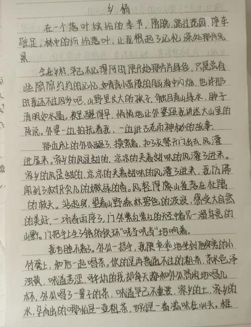乡情作作文网600字初中抒情满分作文