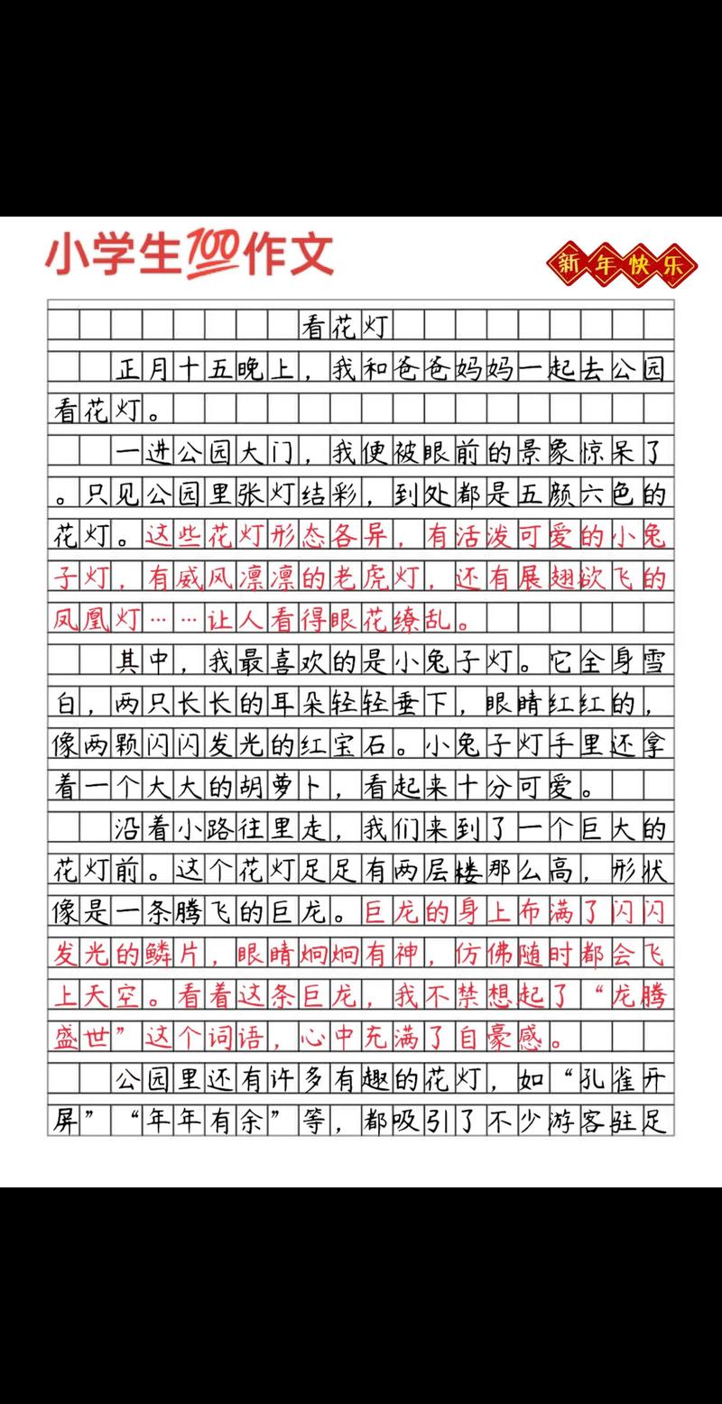 元宵看花灯作文500字小学五年高考作文通用作文
