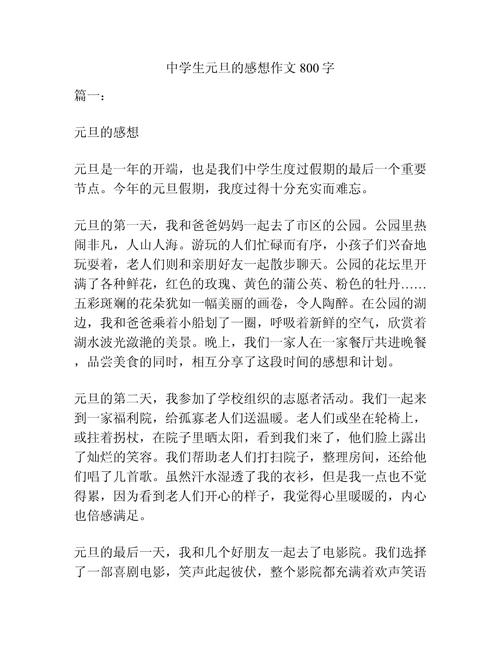 关于元旦的高中作作文800字高中