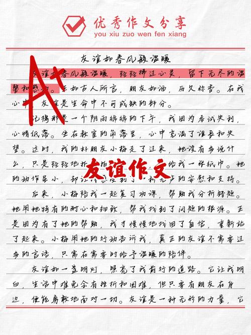 初一作作文网500字友谊一直都在(个人通用)