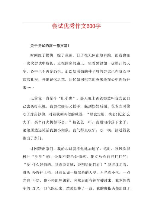 初中生在尝试中成长作六年级作文600字