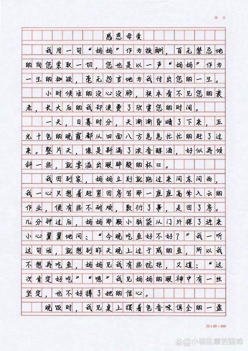 关于母亲节的作文网话题作文900字(精选合集)