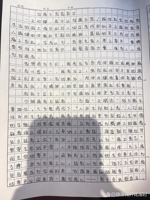 2017年高考新疆满分作文:自强开放,优秀作文光照四方