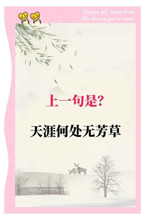 2017贵州高考满分作文:作文大全天涯何处无芳草