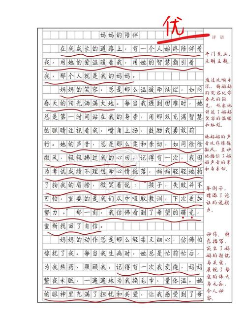 2022初二作作文大全陪伴范文(精选6篇)