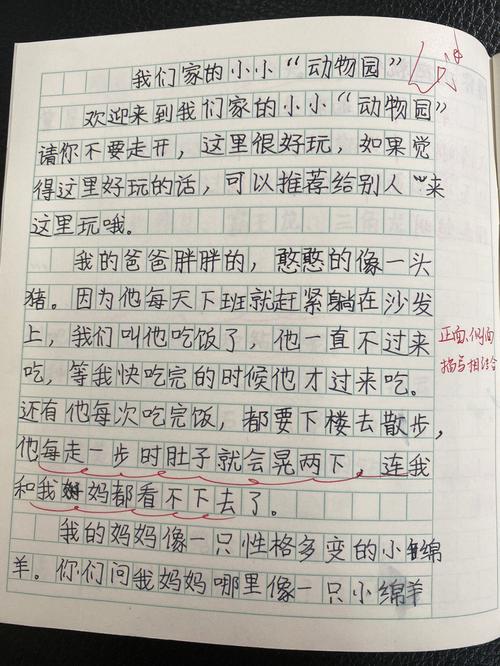《小小动物园》作文四年小升初作文400字范文(最新5篇)