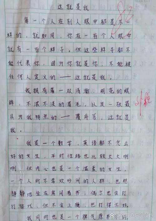七年高考作文作文这就是我范文2022(最新10篇)