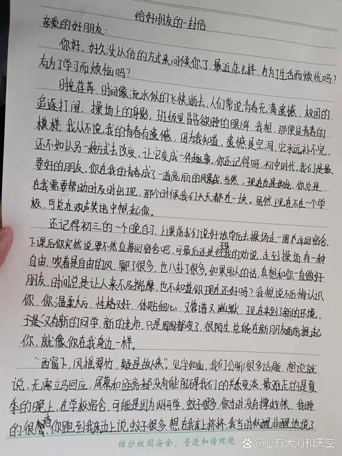 2017年高考江西满分作文:致美国笔友的中考作文信