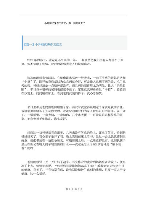 2021新学期作小升初作文800字高中