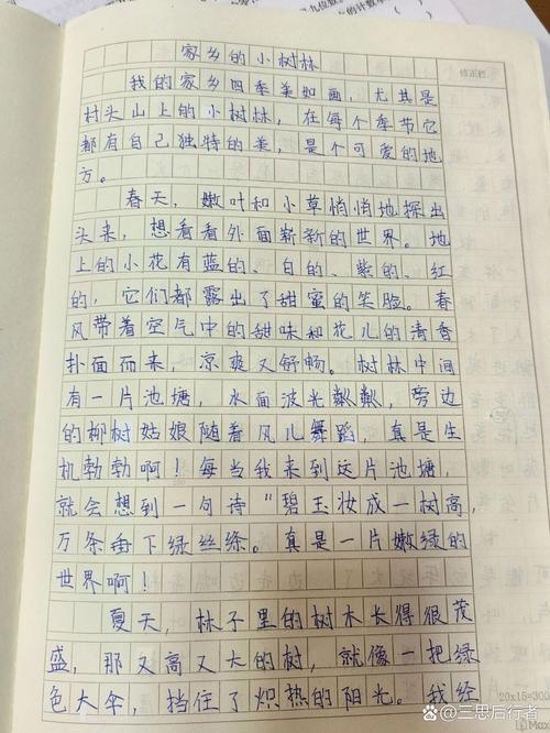 《推荐一个好地初中作方》作文四年级(精选6篇)