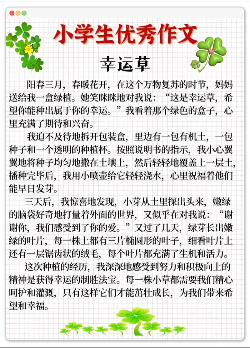 寻找幸运四叶草作高考作文