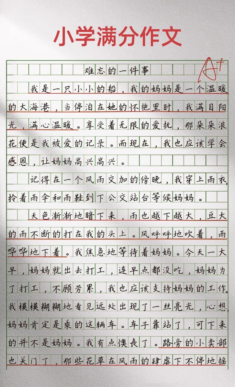小船的作文素材作文400字五年级