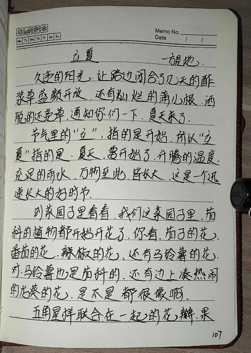 快乐的小学作立夏作文500字(精选6篇)