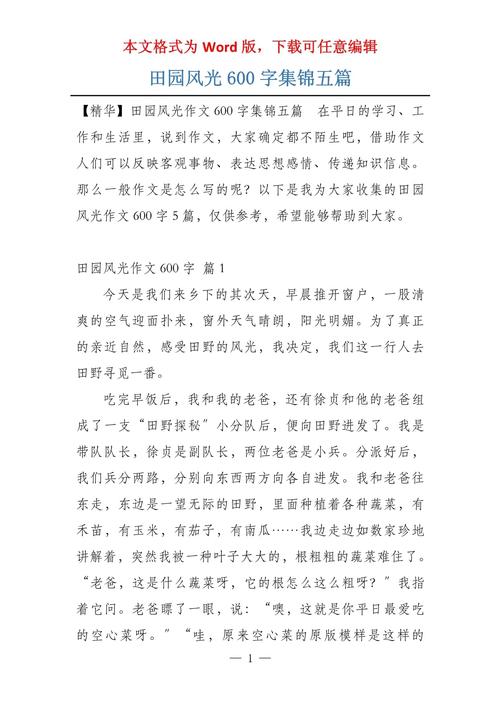 田园风光作高中作600字(集锦6篇)