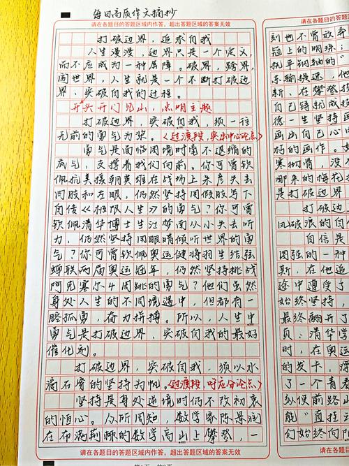 追求作高中作