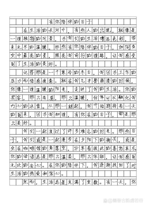 陪伴作大学作600字初一
